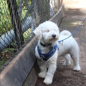 Meet your Posher, Florence